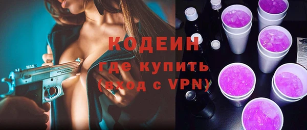 амф Бородино