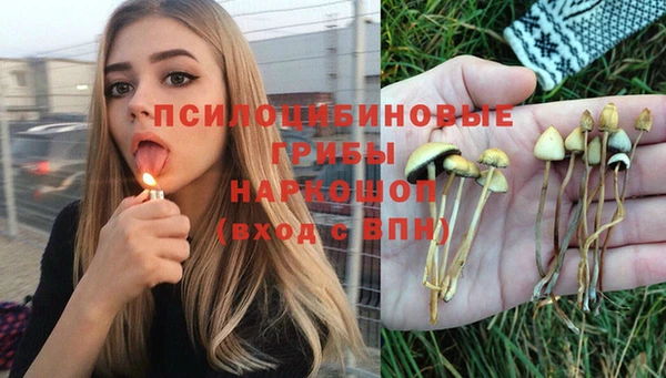 сатива Бугульма