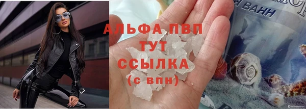 сатива Бугульма