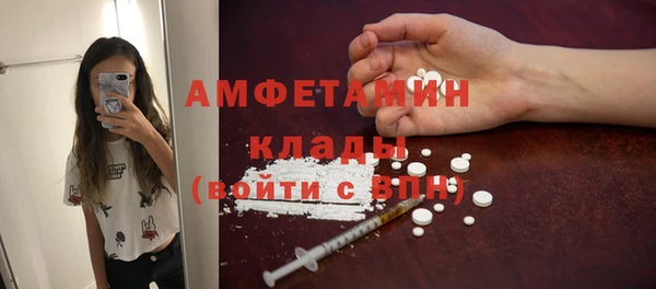 дживик Бронницы