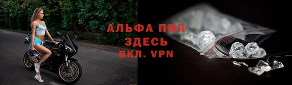 сатива Бугульма