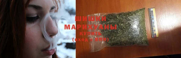 дживик Бронницы