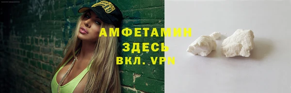 дживик Бронницы