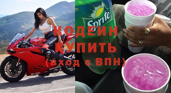 амф Бородино