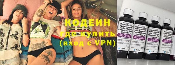 дживик Бронницы