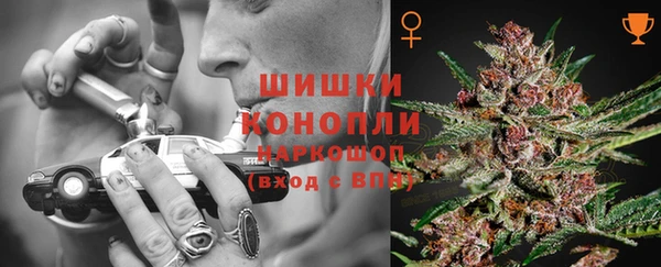 амф Бородино