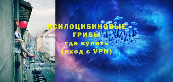 сатива Бугульма