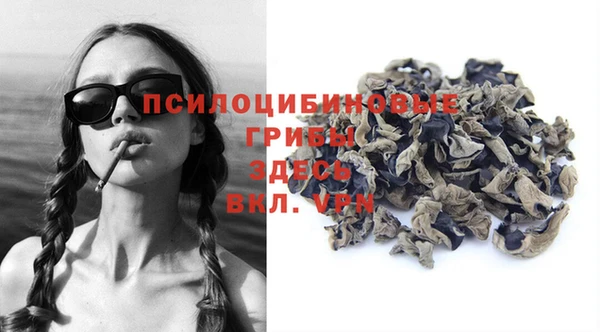 сатива Бугульма