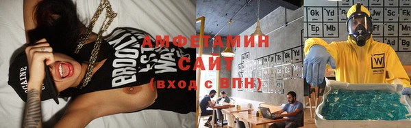 дживик Бронницы